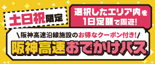 阪神高速おでかけパス2024