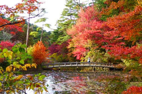 神戸市立森林植物園