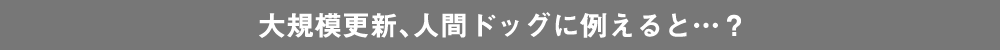 大規模更新、人間ドッグに例えると…？